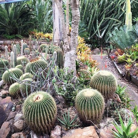 Ancient Gardens Guesthouse&Botanical Gardens Eudlo Buitenkant foto
