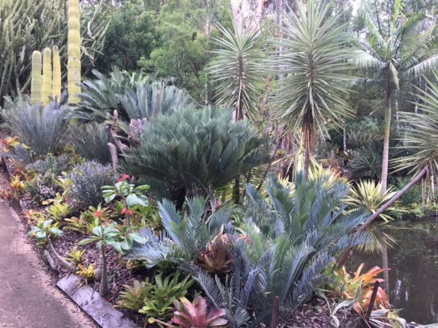 Ancient Gardens Guesthouse&Botanical Gardens Eudlo Buitenkant foto