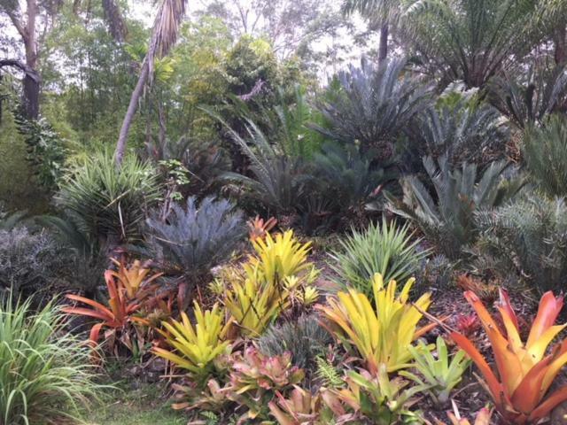 Ancient Gardens Guesthouse&Botanical Gardens Eudlo Buitenkant foto
