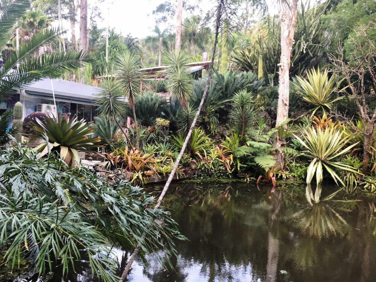Ancient Gardens Guesthouse&Botanical Gardens Eudlo Buitenkant foto
